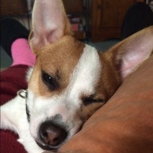 Meet your Posher, Jo